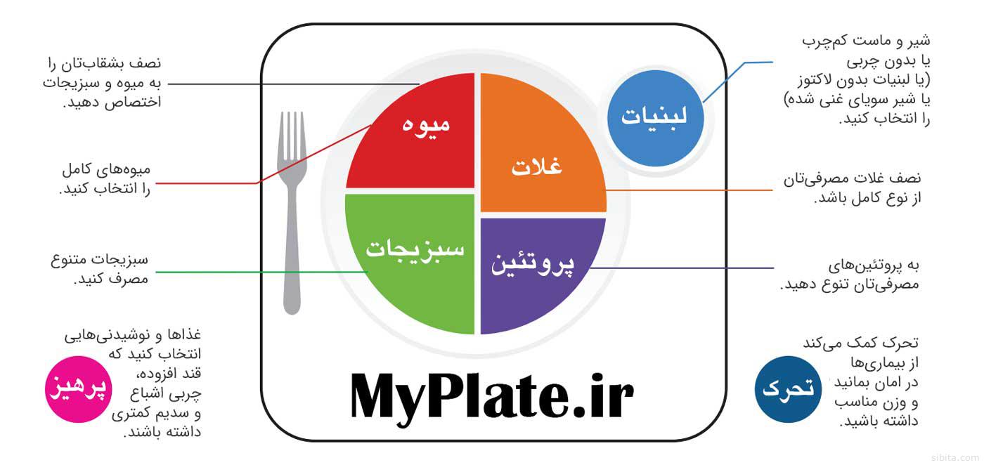 بشقاب سالم چیست